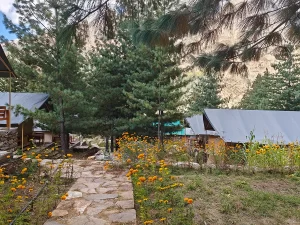 Hotel and Resort in HP