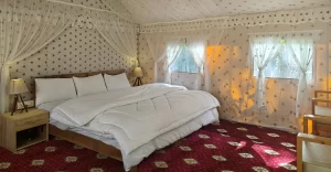 Camp or hotel in Kalpa