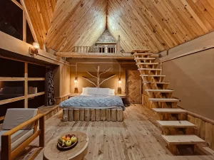 Camps in Himachal Pradesh