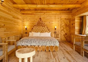 camp in Himachal Pradesh.