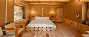 Hotel in Chitkul