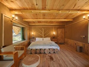 Camps in Himachal Pradesh